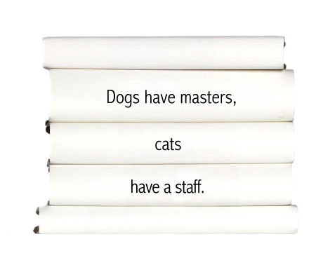 dogs-have-masters-cats-have-a-staff.
