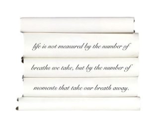 life-is-not-measured-by-the-number-of-breaths-we-take-but-by-the-number-of-moments-that-take-our-breath-away.