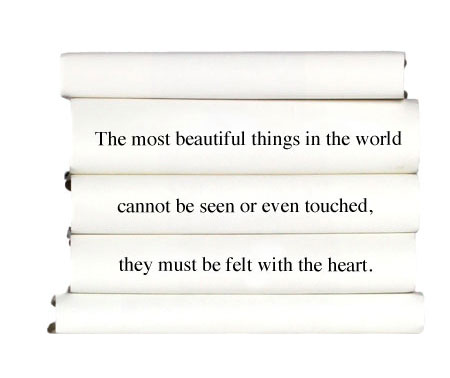 the-most-beautiful-things-in-the-world-cannot-be-seen-or-even-touched-they-must-be-felt-with-the-heart.